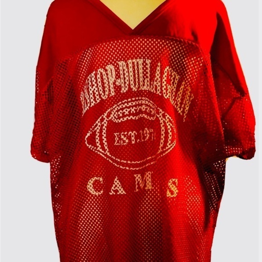 Bishop Dullaghan Camp Short Sleeve V Neck Mesh See Through Shirt Crop Tops